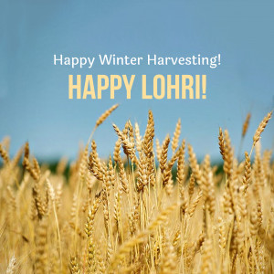 Happy Lohri hd images poster banner status and hd photos